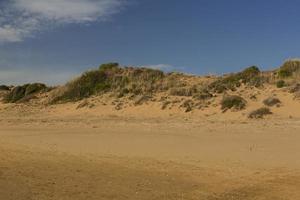 Desert dunes view photo