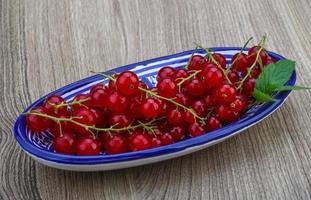 Red currants view photo