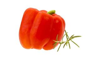 Red pepper on white photo