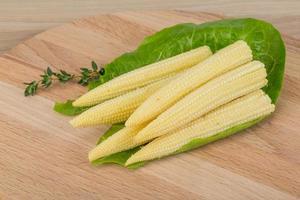 Baby corn on wood photo