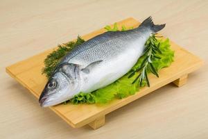Raw seabass on wooden board and wooden background photo