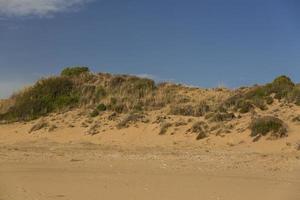 Desert dunes view photo