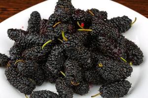 Mulberry on plate photo
