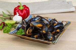 Mussels on wood photo