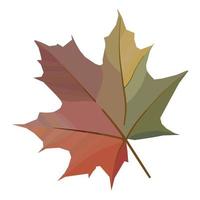 Maple Leaf. Autumn leaf. Vector image.