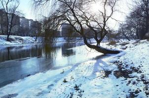 Winter landscape with a big tree by the river photo
