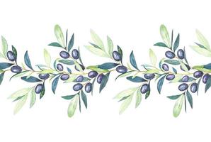 Seamless garland of olive branches , border with olive branches. vector