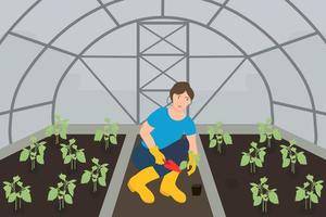 A girl is planting seedlings in a greenhouse. Seedlings in the greenhouse. Vector drawing of a greenhouse with seedlings.