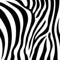 Zebra seamless pattern texture vector