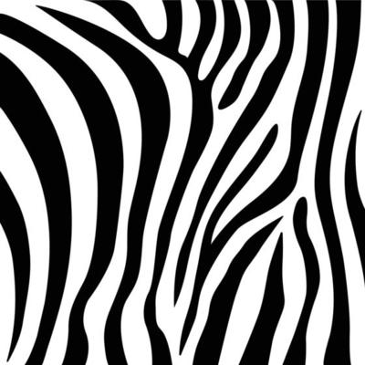 Zebra seamless pattern texture