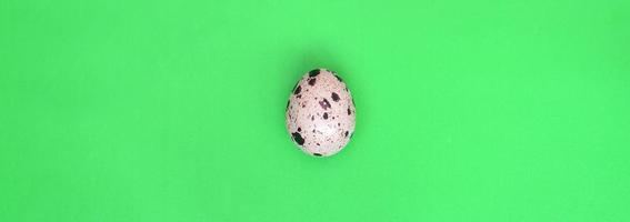 One quail egg on a light green surface, top view, empty place fo photo