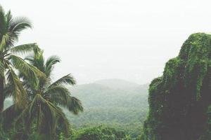 landscape forest in atmosphere cold weather the winter mist covered the mountain. photo