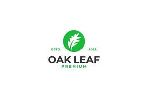 Oak leaf vector logo design isolated vector illustration