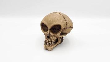 Alien skull toy model which made from plastic racin by hand photo