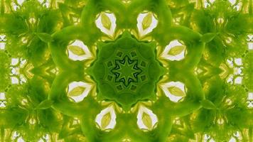 Wonderful Kaleidoscope Backgrounds Created From Colorful Ink Paint Spread photo