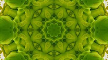 Wonderful Kaleidoscope Backgrounds Created From Colorful Ink Paint Spread photo