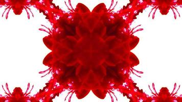 Wonderful Kaleidoscope Backgrounds Created From Colorful Ink Paint Spread photo