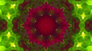 Wonderful Kaleidoscope Backgrounds Created From Colorful Ink Paint Spread photo
