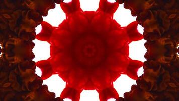 Wonderful Kaleidoscope Backgrounds Created From Colorful Ink Paint Spread photo