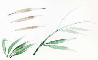 sketch of leaves of reed drawn in sumi-e style photo