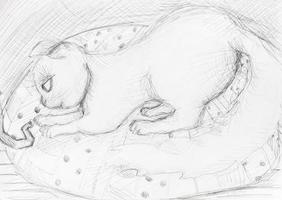 sketch of cat on mat photo