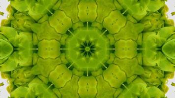 Wonderful Kaleidoscope Backgrounds Created From Colorful Ink Paint Spread photo