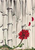 red chrysanthemum flower and bamboo grove photo