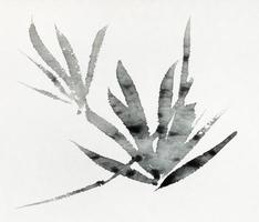 sketches of foliage hand-drawn by black ink photo
