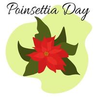 Poinsettia Day, Idea for poster, banner, flyer or postcard vector