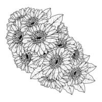 beautiful flowers of gerbera daisy coloring page drawing detailed in vector graphic of line art