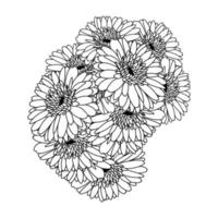 beautiful flowers of gerbera daisy coloring page drawing detailed in vector graphic of line art