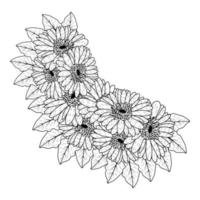 hermosas flores de gerbera daisy página para colorear dibujo detallado en gráfico vectorial de arte lineal vector