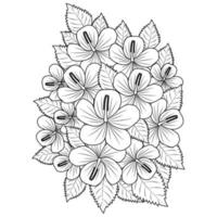 hibiscus flowers coloring page illustration with hawaiian hibiscus leaves and outline rose of sharon vector