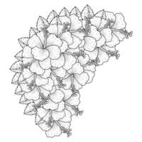 common hibiscus flower outline blossoming petal or rose mallow flowers coloring page vector