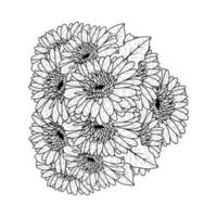 hermosas flores de gerbera daisy página para colorear dibujo detallado en gráfico vectorial de arte lineal vector