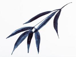 rama de bambú dibujada por acuarelas negras foto