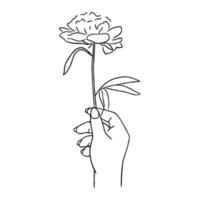 Line art minimal of woman hand holding organic flower in hand drawn concept for decoration, doodle contemporary style vector