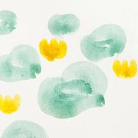 leaves of water lilies drawing by watercolors photo