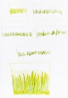 successive training sketches of sun-bleached grass photo
