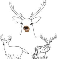 Deer vector illustration