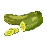 Pickled cucumber isolated on white background. Cartoon flat style. Vector illustration