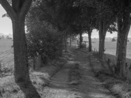 the small village of Grieth at the river rhine photo