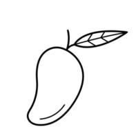 Mango. Hand drawn sketch icon of tropic fruit. Isolated vector illustration in doodle line style.