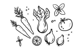 Set of illustration of vegetables and seasonings pattern in hand drawn design. vector
