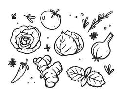 Set of illustration of vegetables and seasonings pattern in hand drawn design. vector