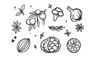 Set of illustration of vegetables and seasonings pattern in hand drawn design. vector