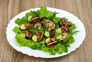 Escargot on wood photo