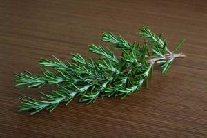 Rosemary branch on wood photo