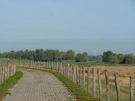 Grieth village at the rhine river photo