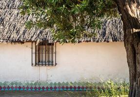 old white house with a thatched roof and a tree nearby photo